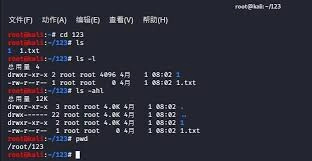 在Linux系统中怎样查看shadow密码