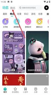 草莓壁纸app的使用方法是什么