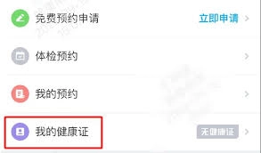 个人电子健康证的申请流程是怎样的