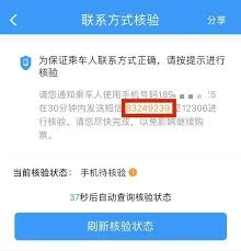 怎样查看他人通过12306平台为我购买的车票