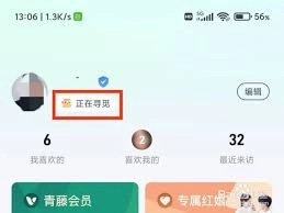 青藤之恋隐藏在线状态的方法是什么
