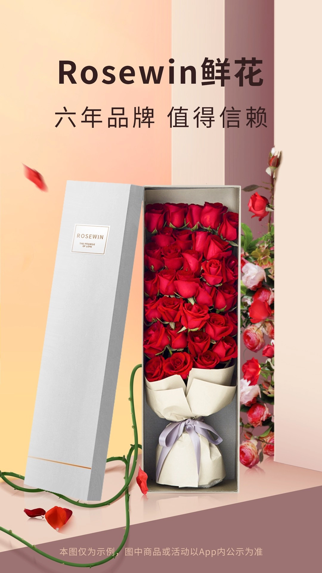 Rosewin鲜花图4