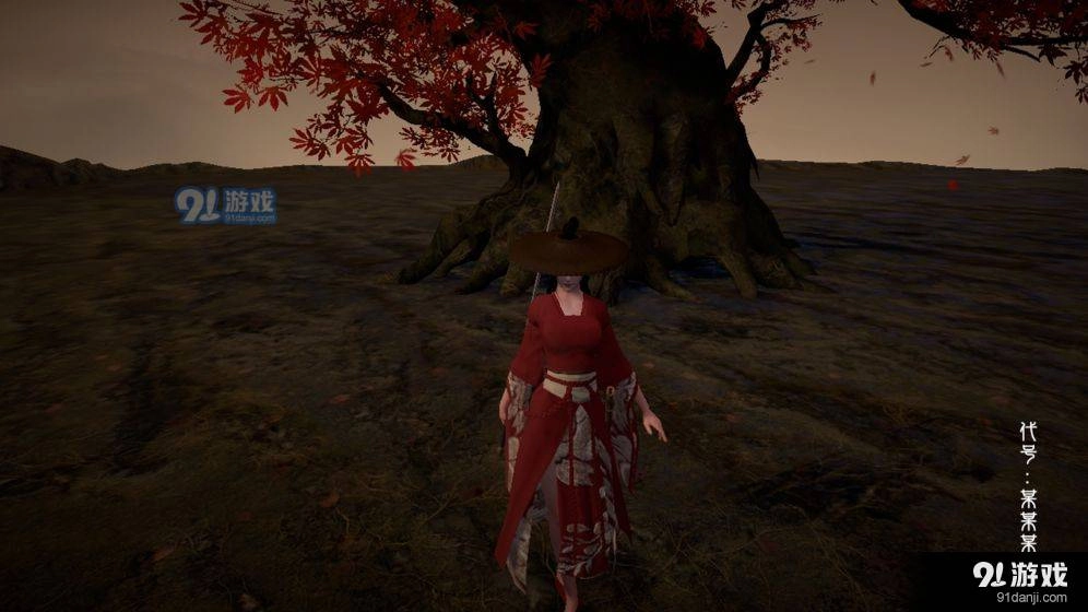 代號某某某-截圖4