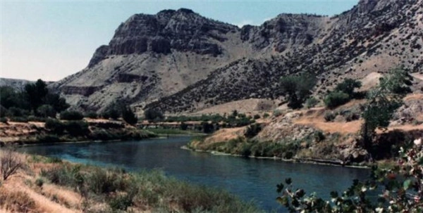 玩《精灵宝可梦：GO》时意外发现男尸，可把我吓坏了