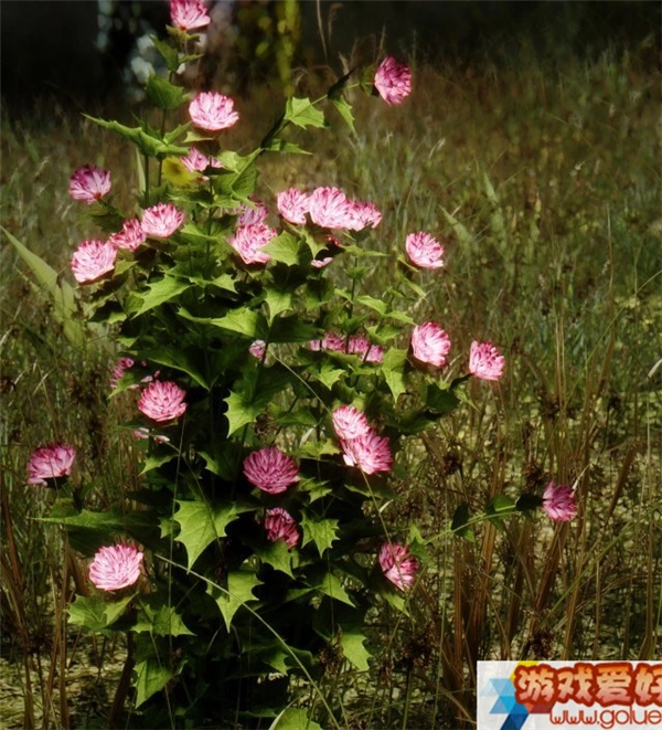 《上古卷轴5：天际》全新MOD截图展示死忠粉的暖心赠礼