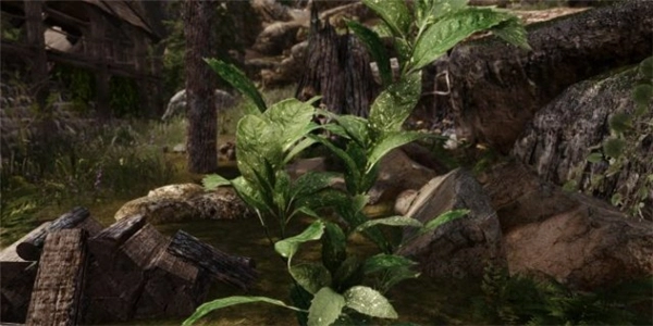 《上古卷轴5》3D风景Mod演示：极致逼真的树木与花卉模型呈现