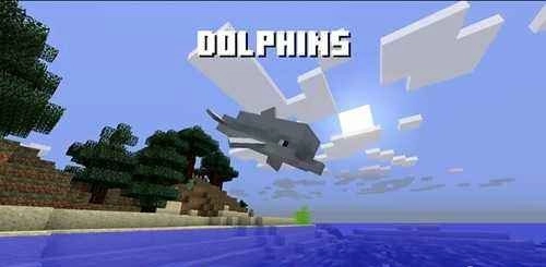 《我的世界》海豚特性大盘点：五个你需要了解的特点