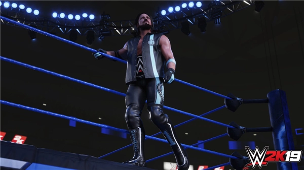 《WWE2K19》首张游戏截图正式曝光，斯泰尔斯强势称霸赛场