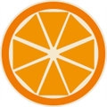 橙子百科