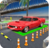 真实停车挑战赛