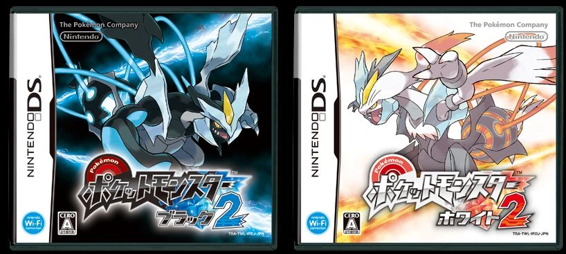 口袋妖怪黑2 中文版图3