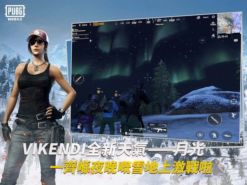 pubg国际版(1)