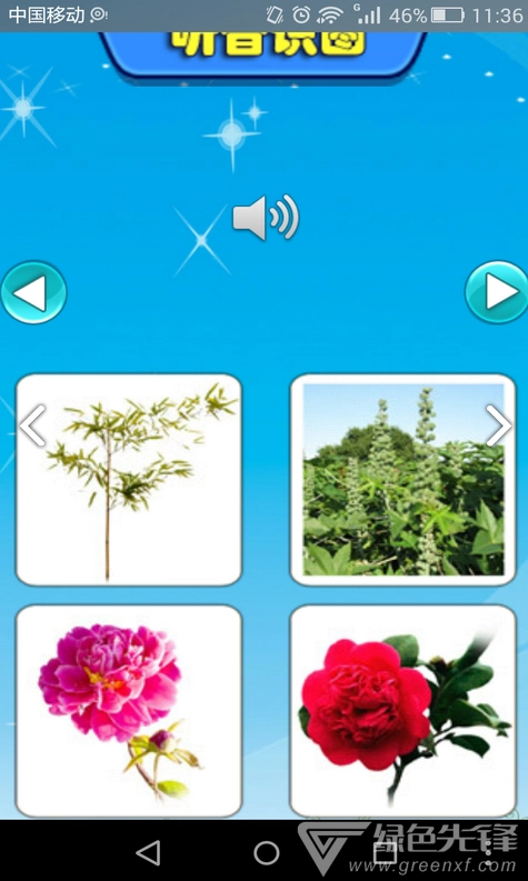 儿童听声识植物大全(儿童听声识植物大全亲子儿童启蒙) 直装版图2