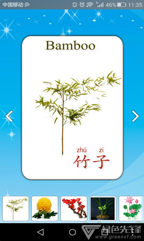 儿童听声识植物大全(儿童听声识植物大全亲子儿童启蒙) 直装版图3