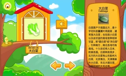 儿童宝宝认蔬菜图3