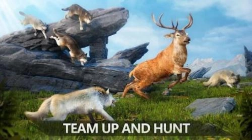 狼族崛起手游最新版图1