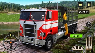 野生动物狩猎图4