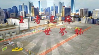 王者足球世界杯(4)