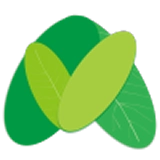 真幸福服务员端