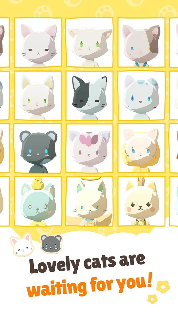 亲爱的我的猫咪图1