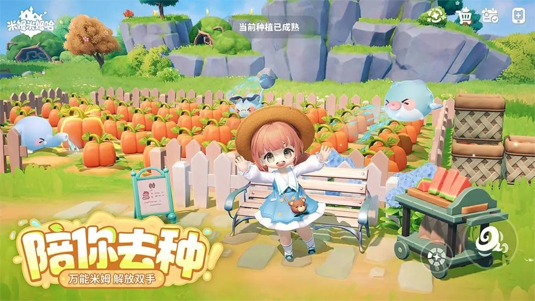 米姆米姆哈中文版(2)