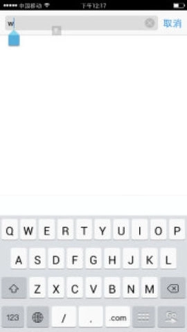 safari浏览器中文版截图1
