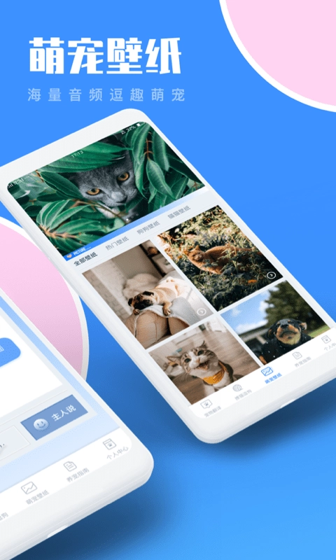 猫咪翻译助手图1