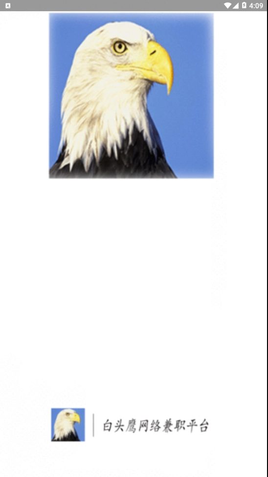白头鹰网络兼职截图3