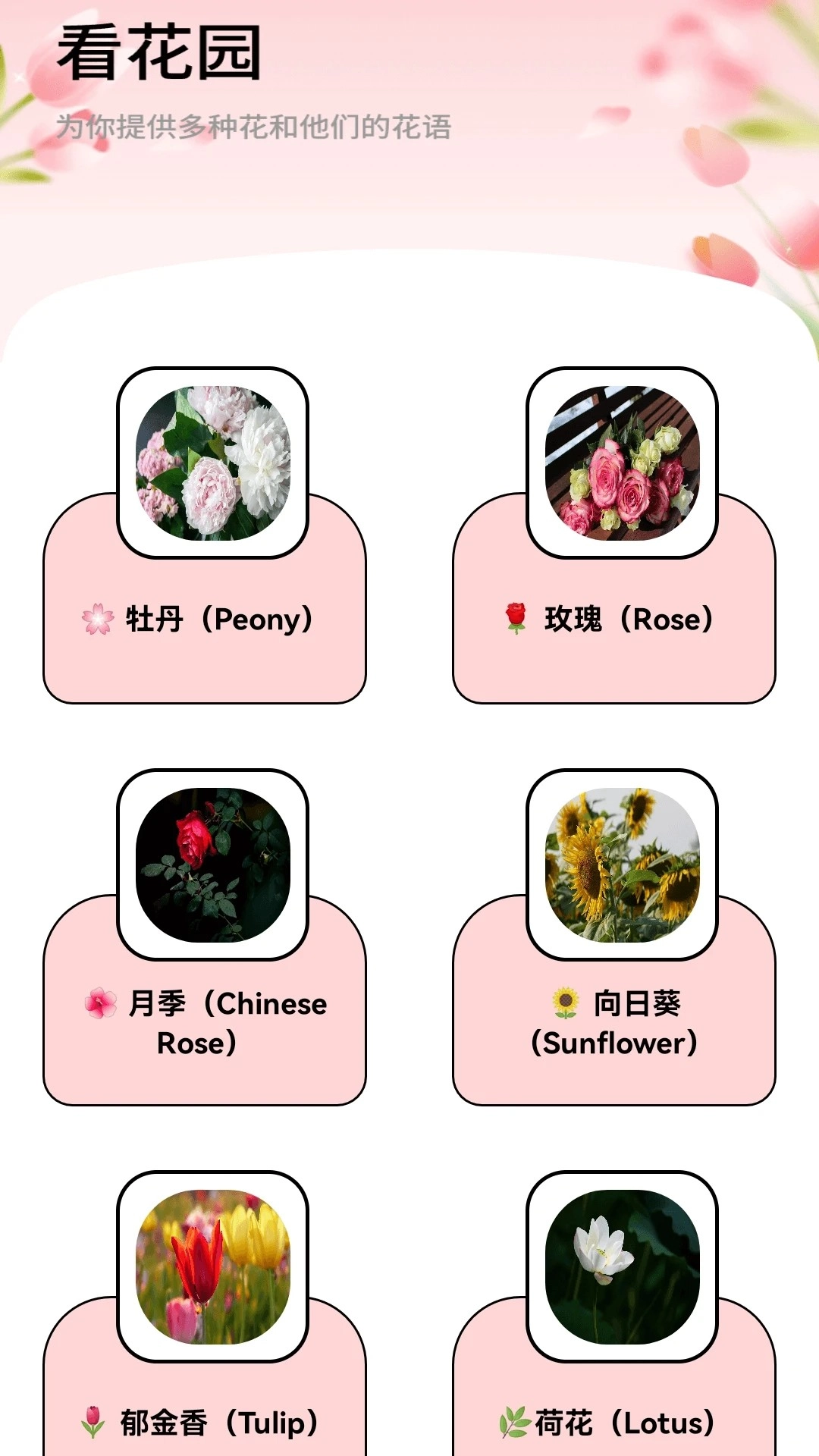 月光短剧全新版截图1