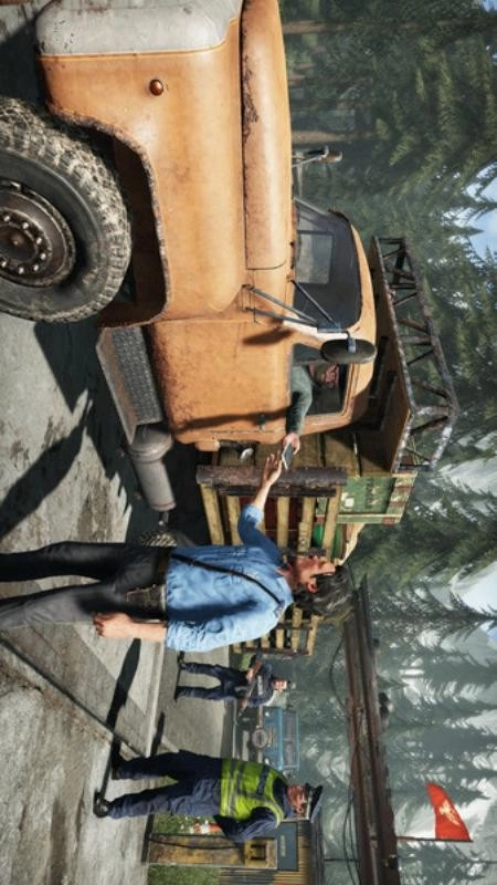 边境守卫模拟国际版(1)