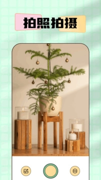 吐司免费原版图4