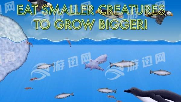 美味深蓝正版(3)