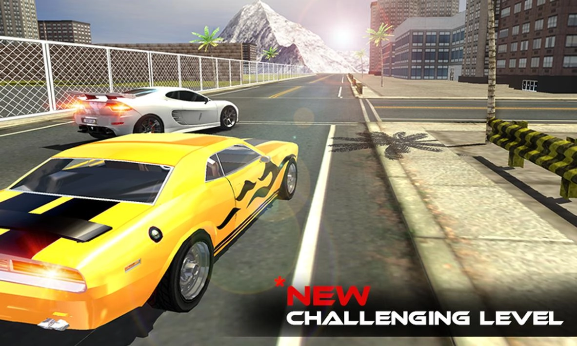 飞机飞行员车汉化版图3