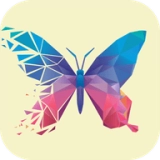 wallpaper手机壁纸