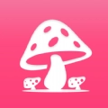 蘑菇赏