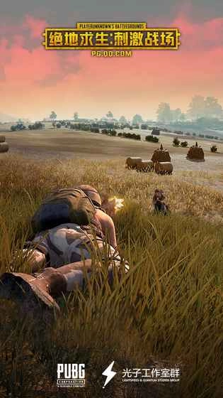 绝地求生：刺激战场