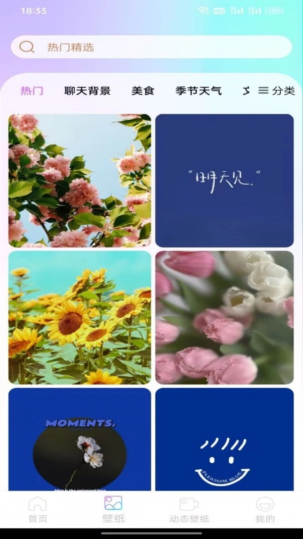 最美手机壁纸图4