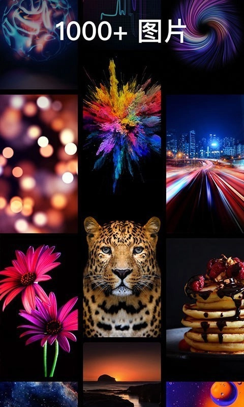 灵猫壁纸大全免费版图1