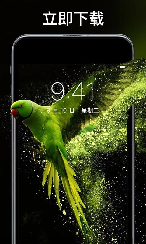 灵猫壁纸大全免费版图3