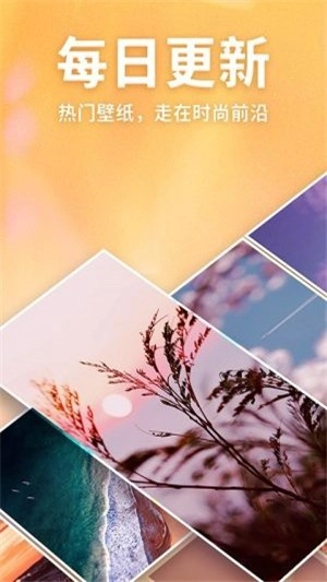 灵猫壁纸手机版(1)