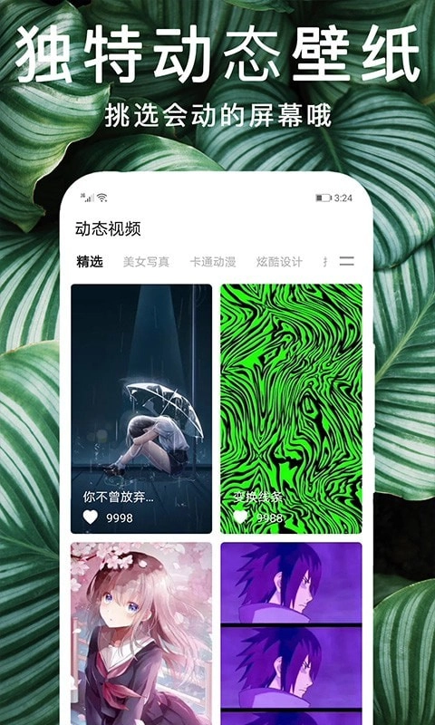 灵猫桌面壁纸正版图1