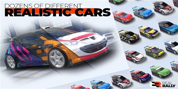 真正的拉力赛图1