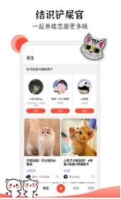 猫猫社截图1