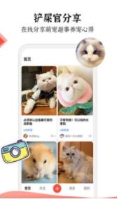 猫猫社截图2