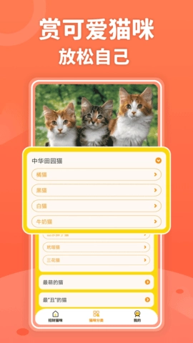 招财进猫截图2