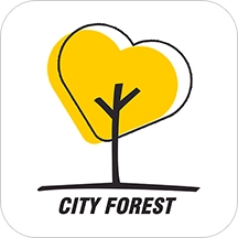 城市森林
