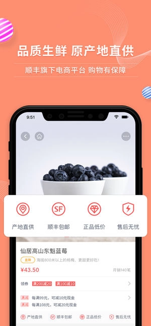 顺丰大当家-图1