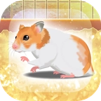 治愈仓鼠养成汉化版