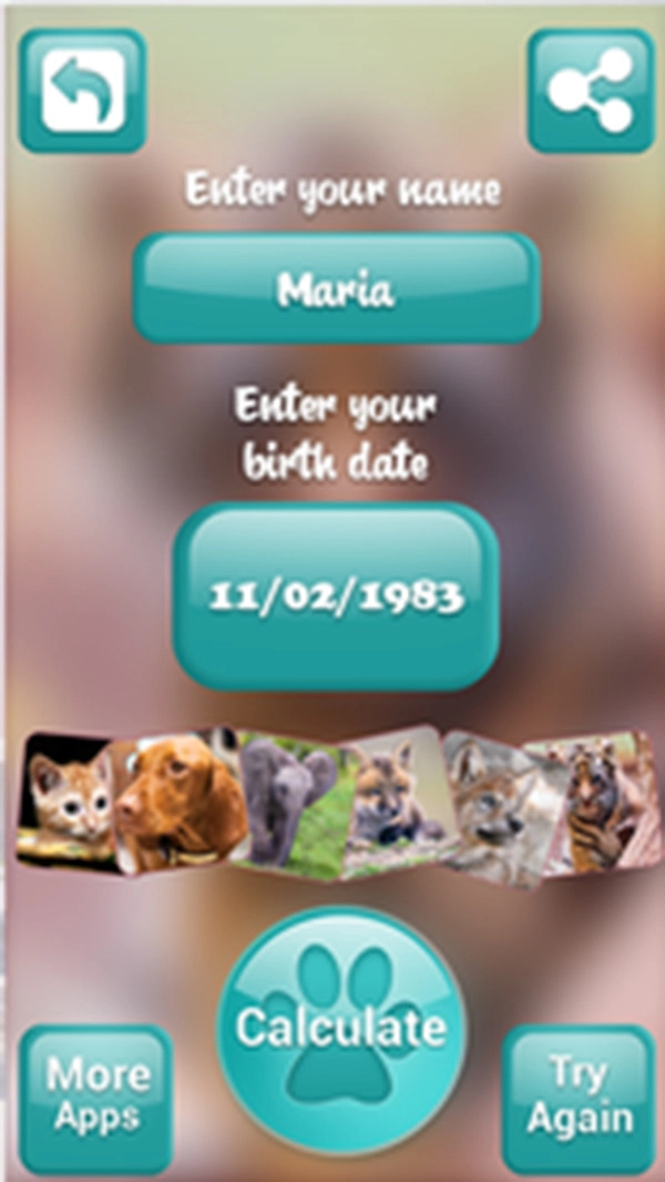 我的前世今生图4