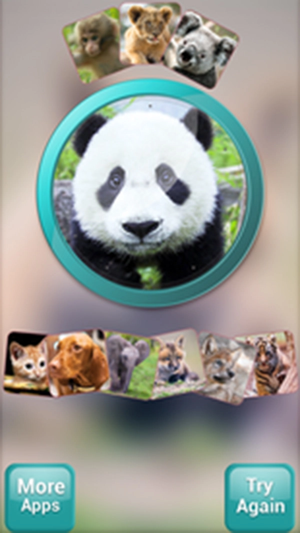 我的前世今生图2